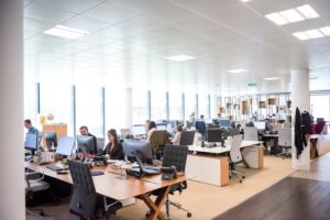 Office interior with a living wall and abundant natural light