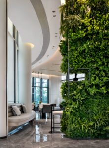 Office interior with a living wall and abundant natural light